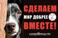 Оказываем информационную поддержку волонтерам и не только Оказываем информационную поддержку волонтерам и не только