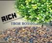Бизнес-проект в интернете.